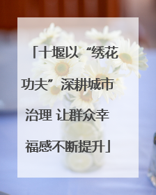 十堰以“绣花功夫”深耕城市治理 让群众幸福感不断提升