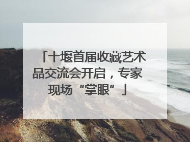 十堰首届收藏艺术品交流会开启，专家现场“掌眼”