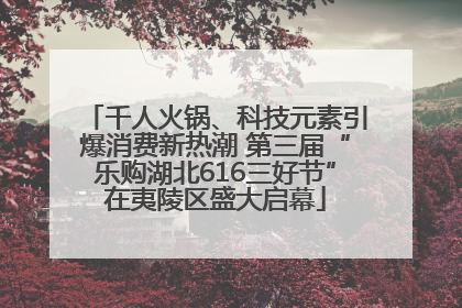 千人火锅、科技元素引爆消费新热潮 第三届“乐购湖北616三好节”在夷陵区盛大启幕
