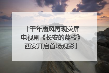 千年唐风再现荧屏 电视剧《长安的荔枝》西安开启首场观影