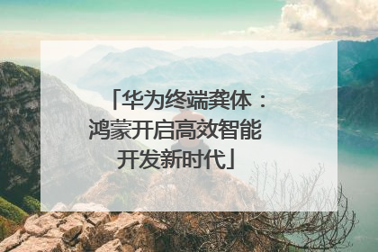 华为终端龚体：鸿蒙开启高效智能开发新时代