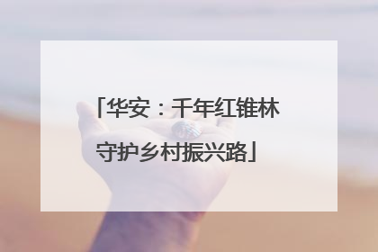 华安：千年红锥林守护乡村振兴路