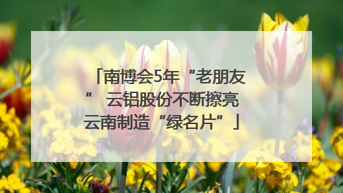 南博会5年“老朋友” 云铝股份不断擦亮云南制造“绿名片”