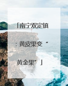 南宁双定镇：黄皮果变“黄金果”