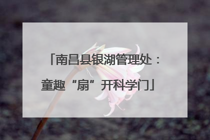 南昌县银湖管理处：童趣“扇”开科学门