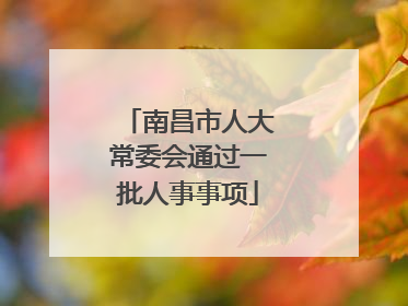 南昌市人大常委会通过一批人事事项