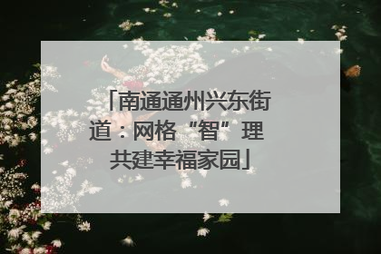 南通通州兴东街道：网格“智”理 共建幸福家园