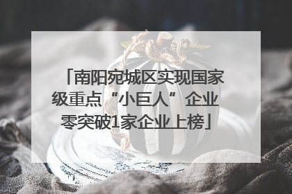 南阳宛城区实现国家级重点“小巨人”企业零突破1家企业上榜