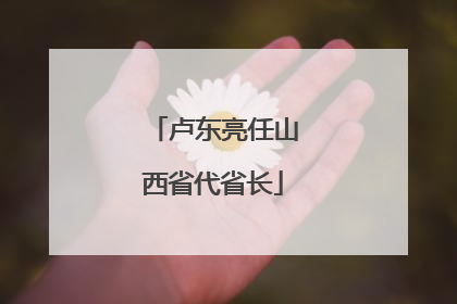 卢东亮任山西省代省长