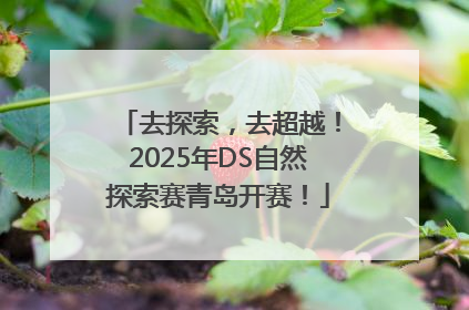 去探索，去超越！2025年DS自然探索赛青岛开赛！