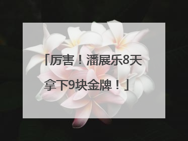厉害！潘展乐8天拿下9块金牌！