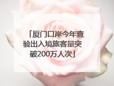厦门口岸今年查验出入境旅客量突破200万人次