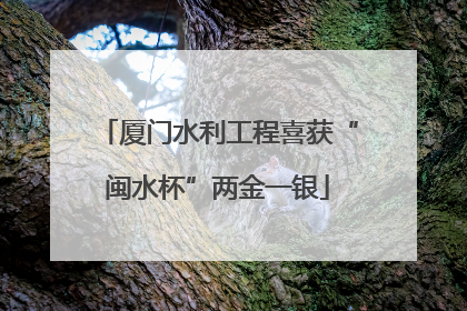 厦门水利工程喜获“闽水杯”两金一银
