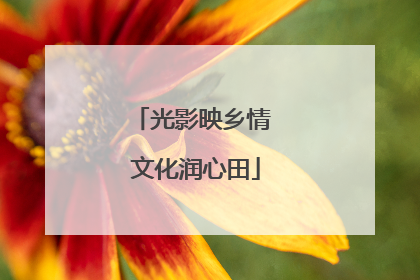 光影映乡情 文化润心田