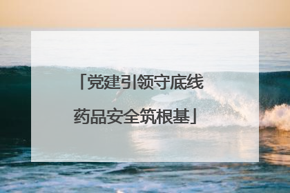 党建引领守底线 药品安全筑根基