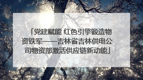 党建赋能 红色引擎锻造物资铁军——吉林省吉林供电公司物资部激活供应链新动能