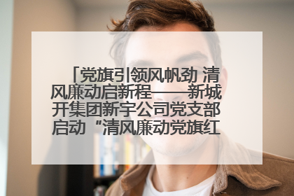 党旗引领风帆劲 清风廉动启新程——新城开集团新宇公司党支部启动“清风廉动党旗红”系列活动