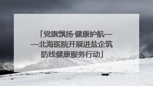 党旗飘扬·健康护航——北海医院开展进盐企筑防线健康服务行动