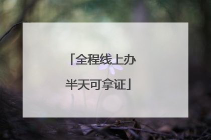 全程线上办 半天可拿证
