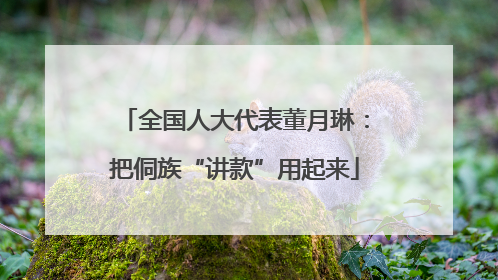 全国人大代表董月琳：把侗族“讲款”用起来