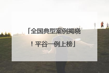 全国典型案例揭晓！平谷一例上榜