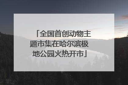 全国首创动物主题市集在哈尔滨极地公园火热开市
