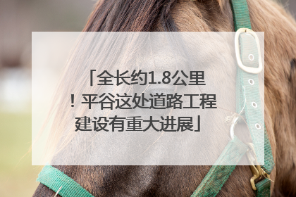 全长约1.8公里！平谷这处道路工程建设有重大进展