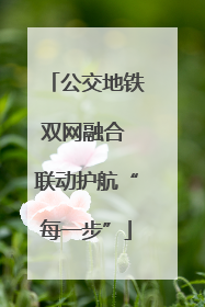 公交地铁双网融合 联动护航“每一步”