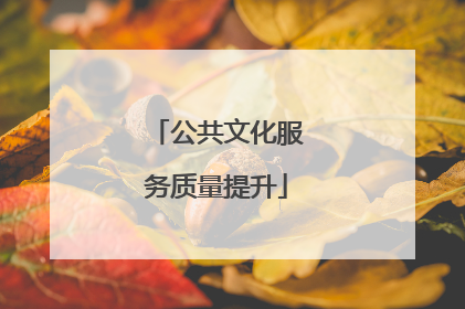 公共文化服务质量提升