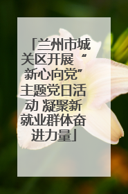 兰州市城关区开展“新心向党”主题党日活动 凝聚新就业群体奋进力量