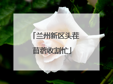 兰州新区头茬苜蓿收割忙