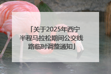 关于2025年西宁半程马拉松期间公交线路临时调整通知