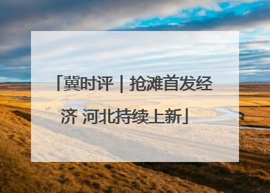 冀时评｜抢滩首发经济 河北持续上新