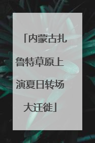 内蒙古扎鲁特草原上演夏日转场大迁徙