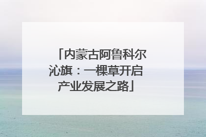 内蒙古阿鲁科尔沁旗：一棵草开启产业发展之路