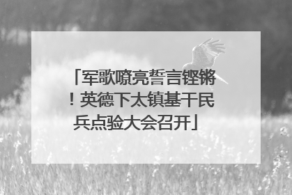 军歌嘹亮誓言铿锵！英德下太镇基干民兵点验大会召开