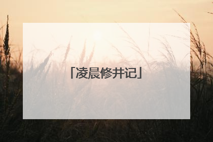 凌晨修井记