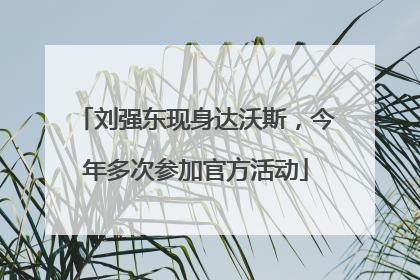 刘强东现身达沃斯，今年多次参加官方活动