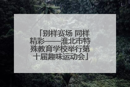 别样赛场 同样精彩——淮北市特殊教育学校举行第十届趣味运动会