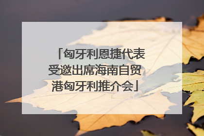 匈牙利恩捷代表受邀出席海南自贸港匈牙利推介会