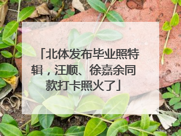 北体发布毕业照特辑，汪顺、徐嘉余同款打卡照火了