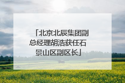 北京北辰集团副总经理胡浩获任石景山区副区长