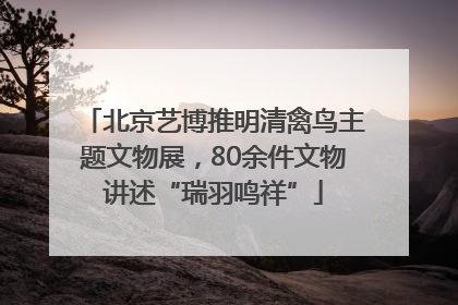 北京艺博推明清禽鸟主题文物展，80余件文物讲述“瑞羽鸣祥”