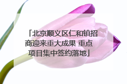北京顺义区仁和镇招商迎来重大成果 重点项目集中签约落地