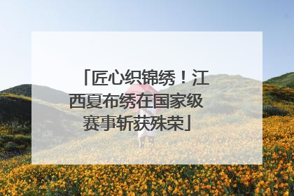 匠心织锦绣！江西夏布绣在国家级赛事斩获殊荣
