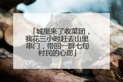 城里来了收菜团，我花三小时赶去山里串门，带回一群七旬村民的心愿