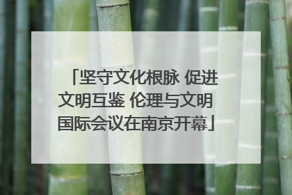 坚守文化根脉 促进文明互鉴 伦理与文明国际会议在南京开幕