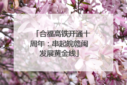 合福高铁开通十周年：串起皖赣闽发展黄金线