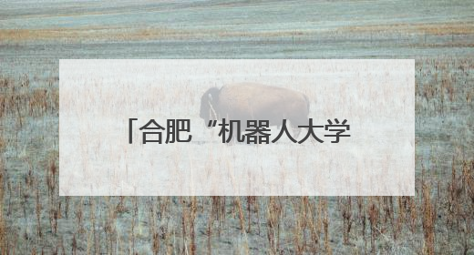 合肥“机器人大学”开班了 全国招收机器人“练习生”