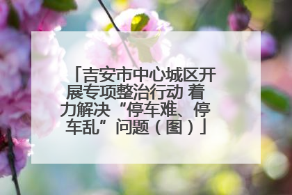吉安市中心城区开展专项整治行动 着力解决“停车难、停车乱”问题（图）